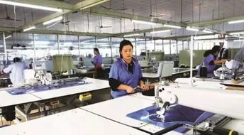 聚焦丨服裝廠上演 機(jī)器人制衣 ,每件衣服只需要22秒,員工又要失業(yè)